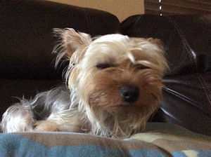 Meet your Posher, Edwin